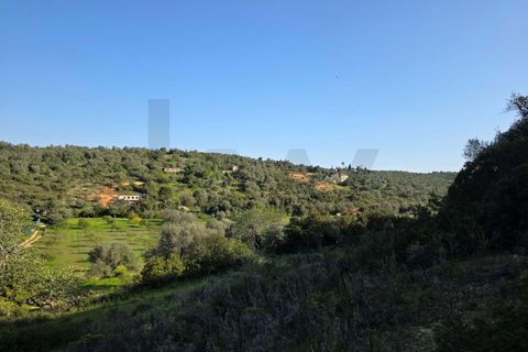 Helårsgrund i Lagoa, Faro, Lagoa - € 45.000 | Ref: KWPT-030482 - foto 16
