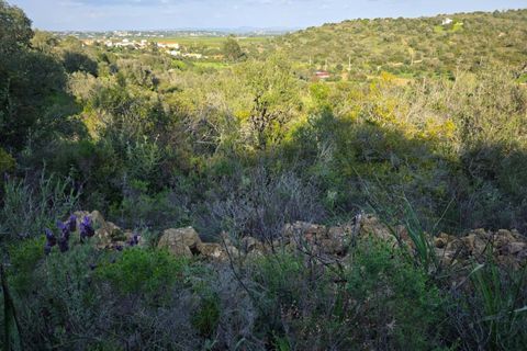 Helårsgrund i Lagoa, Faro, Lagoa - € 45.000 | Ref: KWPT-030482 - foto 17