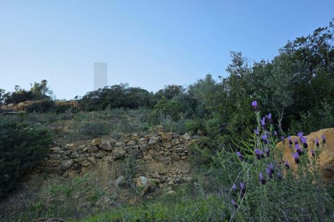 Helårsgrund i Lagoa, Faro, Lagoa - € 45.000 | Ref: KWPT-030482 - foto 18