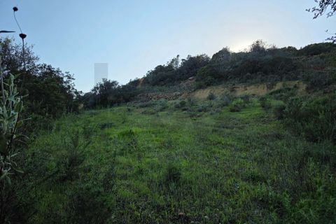 Helårsgrund i Lagoa, Faro, Lagoa - € 45.000 | Ref: KWPT-030482 - foto 19