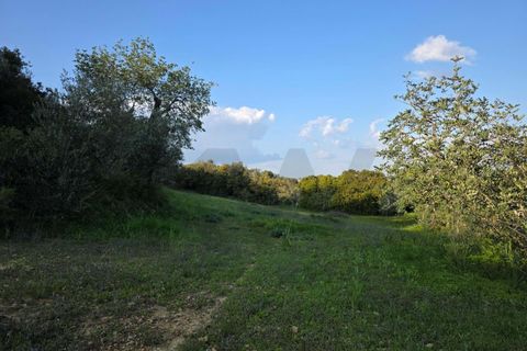 Helårsgrund i Lagoa, Faro, Lagoa - € 45.000 | Ref: KWPT-030482 - foto 20