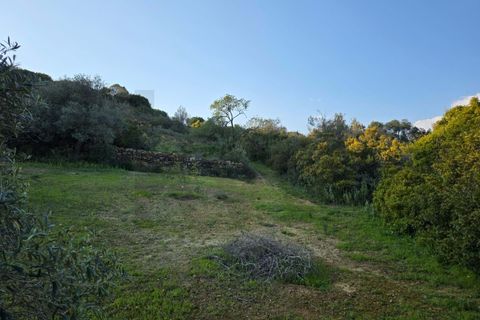 Helårsgrund i Lagoa, Faro, Lagoa - € 45.000 | Ref: KWPT-030482 - foto 21