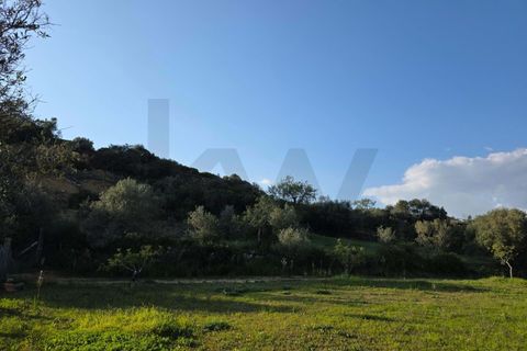Helårsgrund i Lagoa, Faro, Lagoa - € 45.000 | Ref: KWPT-030482 - foto 22