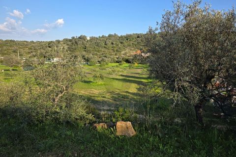 Helårsgrund i Lagoa, Faro, Lagoa - € 45.000 | Ref: KWPT-030482 - foto 23