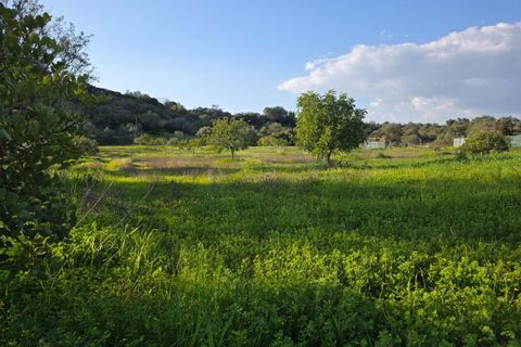 Helårsgrund i Lagoa, Faro, Lagoa - € 45.000 | Ref: KWPT-030482 - foto 24
