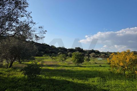 Helårsgrund i Lagoa, Faro, Lagoa - € 45.000 | Ref: KWPT-030482 - foto 25