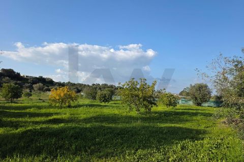 Helårsgrund i Lagoa, Faro, Lagoa - € 45.000 | Ref: KWPT-030482 - foto 26