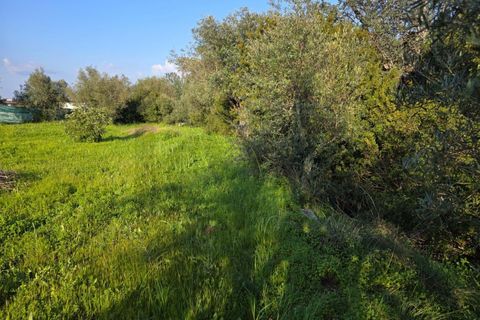 Helårsgrund i Lagoa, Faro, Lagoa - € 45.000 | Ref: KWPT-030482 - foto 27