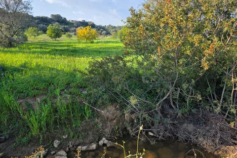 Helårsgrund i Lagoa, Faro, Lagoa - € 45.000 | Ref: KWPT-030482 - foto 29