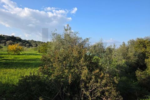 Helårsgrund i Lagoa, Faro, Lagoa - € 45.000 | Ref: KWPT-030482 - foto 31