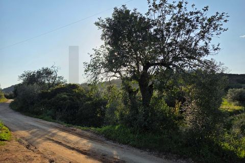 Helårsgrund i Lagoa, Faro, Lagoa - € 45.000 | Ref: KWPT-030482 - foto 32