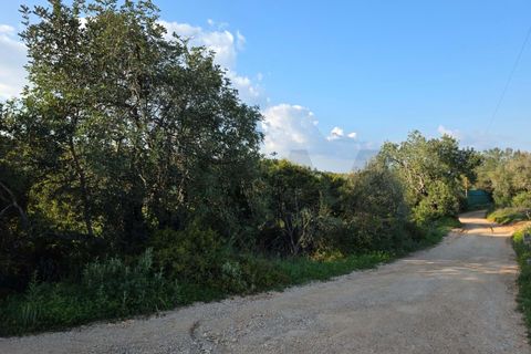 Helårsgrund i Lagoa, Faro, Lagoa - € 45.000 | Ref: KWPT-030482 - foto 33