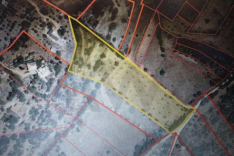 Helårsgrund i Lagoa, Faro, Lagoa - € 45.000 | Ref: KWPT-030482 - foto 34