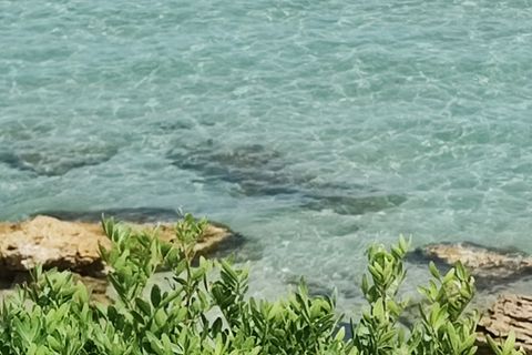 Byhus i Siracusa, Siracusa, Siracusa - € 3.500.000 | Ref: Sicily4880 - foto 43