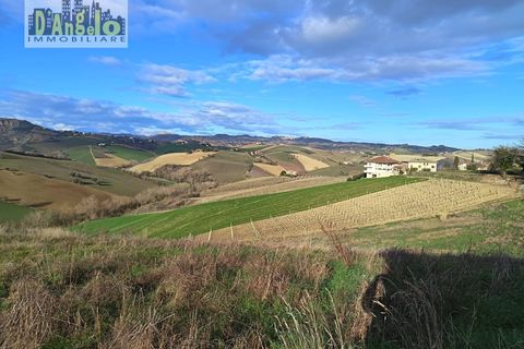 Villa i Offida, Ascoli Piceno, Offida - € 139.000 | Ref: 154 - foto 12