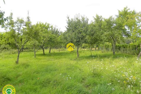 Villa a Pierrefitte-Es-Bois, Loiret, Pierrefitte-Es-Bois - € 56.500 | Ref: 18CAL111317 - foto 6