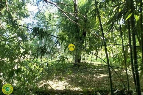 Villa a Sancoins, Cher, Sancoins - € 59.500 | Ref: 47CAL110033 - foto 6