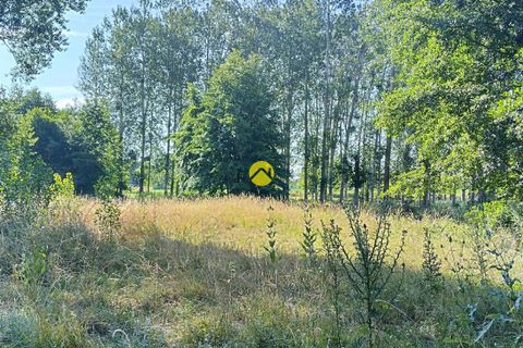 Villa a Anjouin, Indre, Anjouin - € 225.000 | Ref: 91MS110994 - foto 6