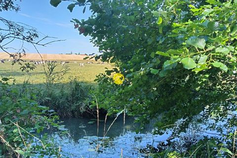 Villa a Anjouin, Indre, Anjouin - € 225.000 | Ref: 91MS110994 - foto 14