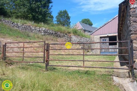 Farm hus i Peyrusse, Cantal, Peyrusse - € 69.500 | Ref: 96CAL109925 - foto 5