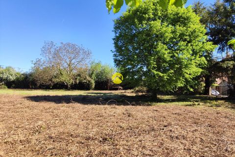 Terra a Precy, Cher, Precy - € 19.000 | Ref: 33MS109886 - foto 5