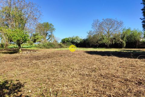 Terra a Precy, Cher, Precy - € 19.000 | Ref: 33MS109886 - foto 6