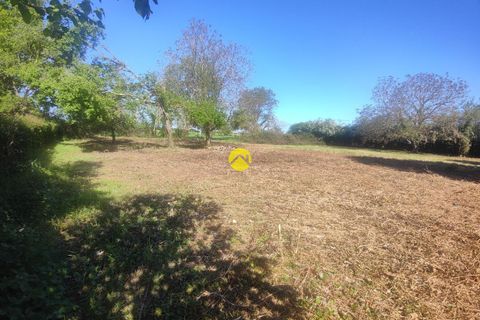 Terra a Precy, Cher, Precy - € 19.000 | Ref: 33MS109886 - foto 7