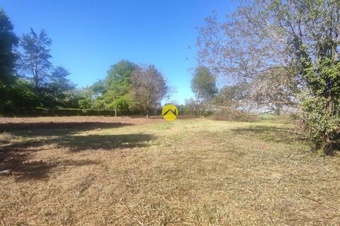Terra a Precy, Cher, Precy - € 19.000 | Ref: 33MS109886 - foto 8