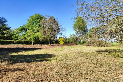 Terra a Precy, Cher, Precy - € 19.000 | Ref: 33MS109886 - foto 9