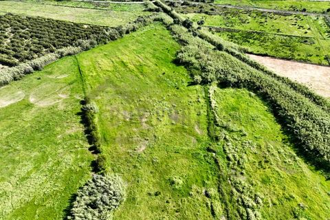 Helårsgrund i Olhao, Faro, Olhao - € 252.000 | Ref: BPH0210 - foto 3