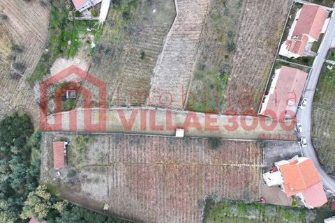 Helårsgrund i Vila Real, Vila Real, Vila Real - € 30.000 | Ref: TER_501 - foto 2