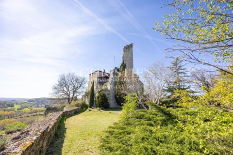 Landejendom i Agen, Lot-et-Garonne, Agen - € 950.000 | Ref: JV1164 - foto 19