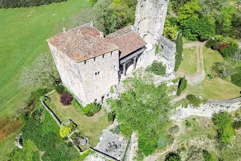 Landejendom i Agen, Lot-et-Garonne, Agen - € 950.000 | Ref: JV1164 - foto 26
