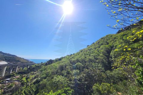 Villa i Ventimiglia, Imperia, Ventimiglia - € 180.000 | Ref: 23796 - foto 3