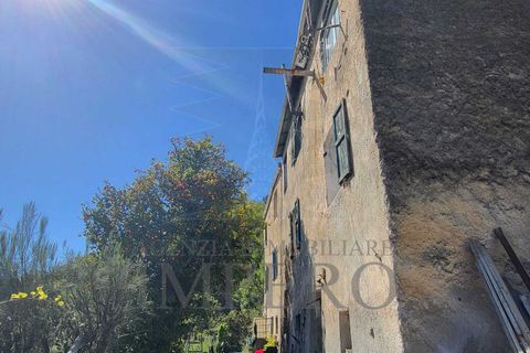 Villa i Ventimiglia, Imperia, Ventimiglia - € 180.000 | Ref: 23796 - foto 10
