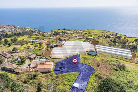 Helårsgrund i Calheta, Madeira, Calheta - € 333.000 | Ref: KWPT-030648 - foto 1