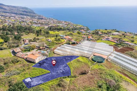 Helårsgrund i Calheta, Madeira, Calheta - € 333.000 | Ref: KWPT-030648 - foto 2