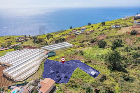 Helårsgrund i Calheta, Madeira, Calheta - € 333.000 | Ref: KWPT-030648 - foto 3