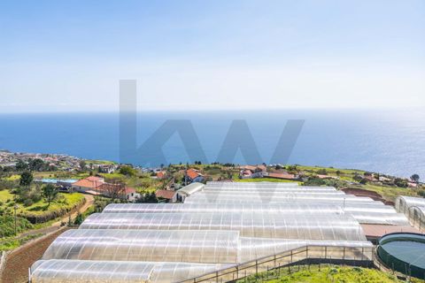 Helårsgrund i Calheta, Madeira, Calheta - € 333.000 | Ref: KWPT-030648 - foto 7