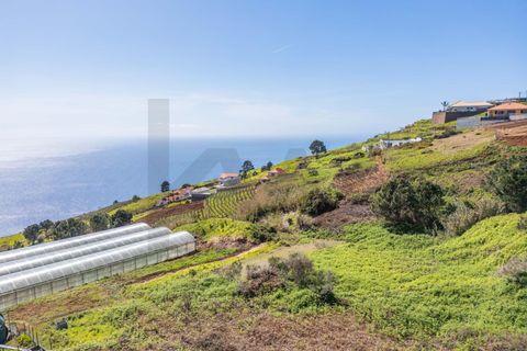 Helårsgrund i Calheta, Madeira, Calheta - € 333.000 | Ref: KWPT-030648 - foto 8