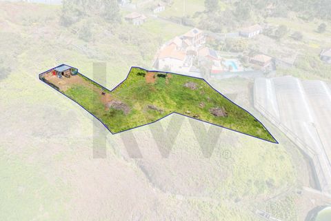 Helårsgrund i Calheta, Madeira, Calheta - € 333.000 | Ref: KWPT-030648 - foto 14