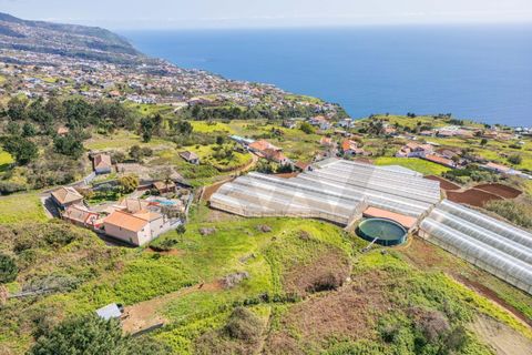 Helårsgrund i Calheta, Madeira, Calheta - € 333.000 | Ref: KWPT-030648 - foto 15