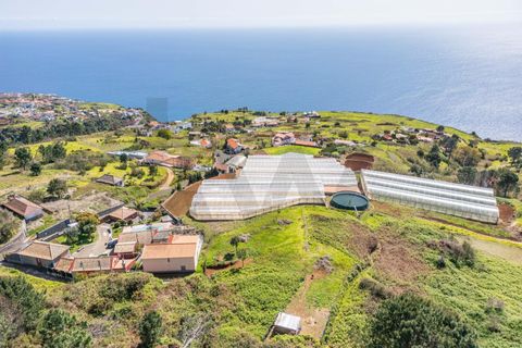 Helårsgrund i Calheta, Madeira, Calheta - € 333.000 | Ref: KWPT-030648 - foto 16