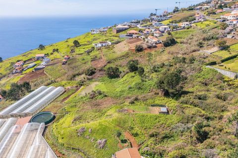Helårsgrund i Calheta, Madeira, Calheta - € 333.000 | Ref: KWPT-030648 - foto 19