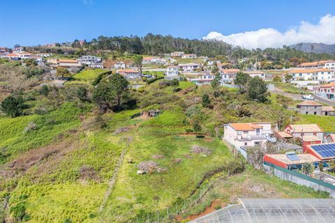 Helårsgrund i Calheta, Madeira, Calheta - € 333.000 | Ref: KWPT-030648 - foto 22