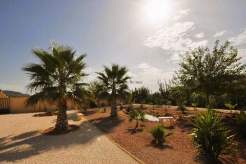 Villa i Pinoso, Alicante, Pinoso - € 499.995 | Ref: GM7258 - foto 35