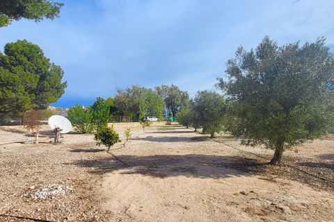 Landejendom i Monovar, Alicante, Monovar - € 115.000 | Ref: LJ2496 - foto 6