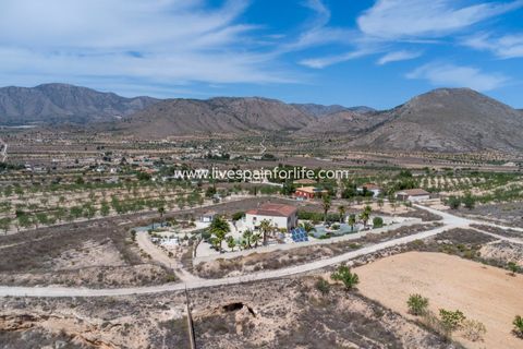 Herregård i Barbarroja, Alicante, Barbarroja - € 534 995 | Ref: Barba JNS - foto 14