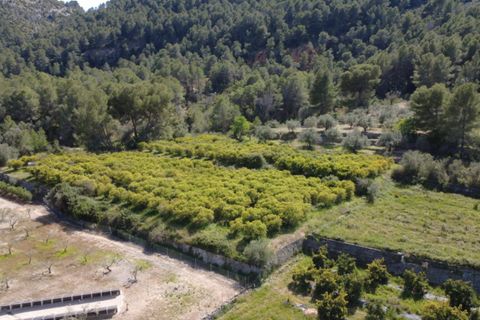 Helårsgrund i Orba, Alicante, Orba - € 140.000 | Ref: 001851 - foto 2