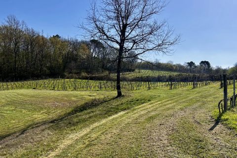 Villa a Duras, Lot-et-Garonne, Duras - € 256.800 | Ref: BVI84844 - foto 13